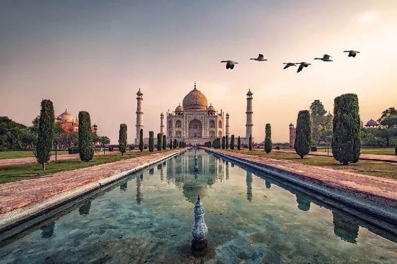 india
